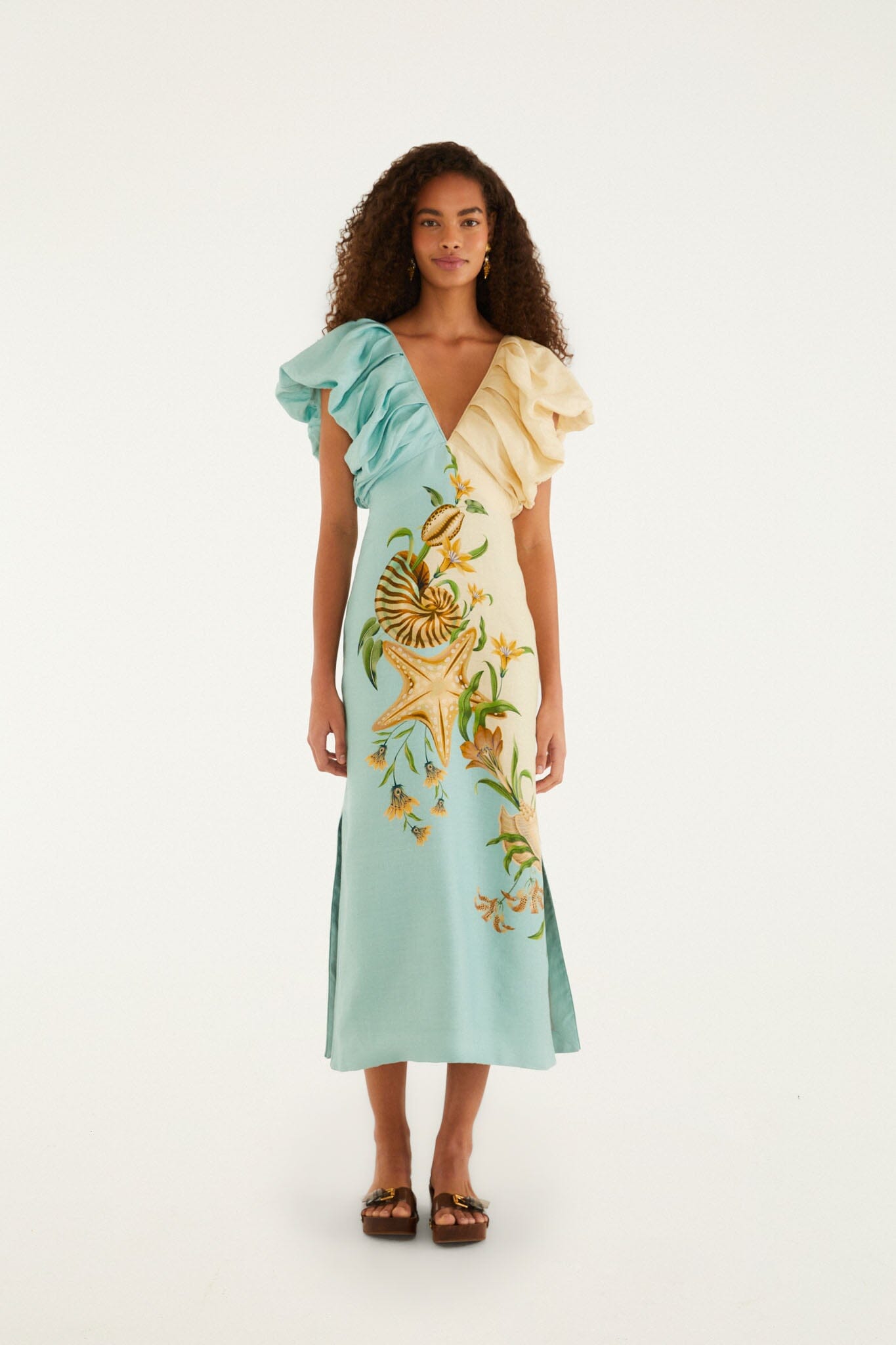 Bicolor Marine Garden Puff Sleeve Midi Dress