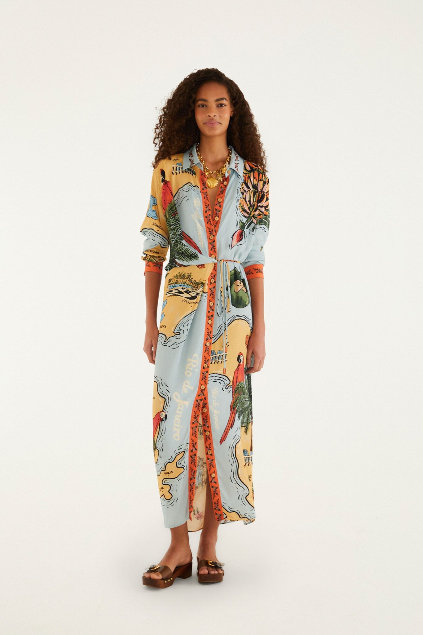 Multicolor Beaches Path Collared Buttoned Maxi Dress