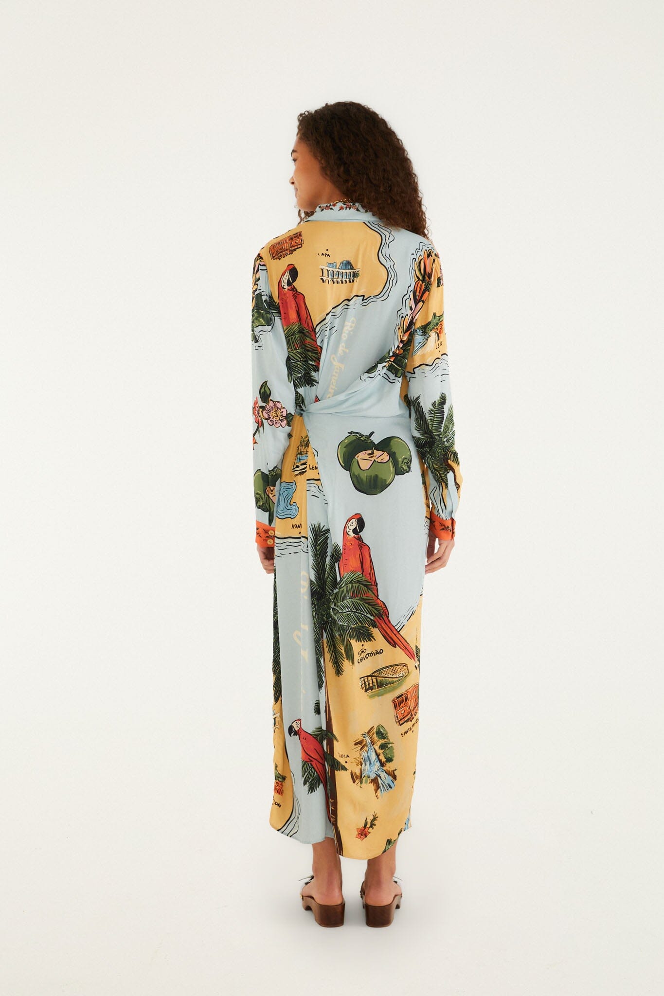 Multicolor Beaches Path Collared Buttoned Maxi Dress